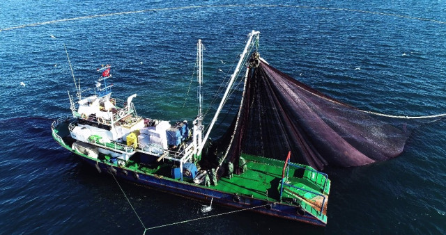 Doğu Karadenizli Balıkçılar Hamsiyi Batı Karadeniz’de Arıyor