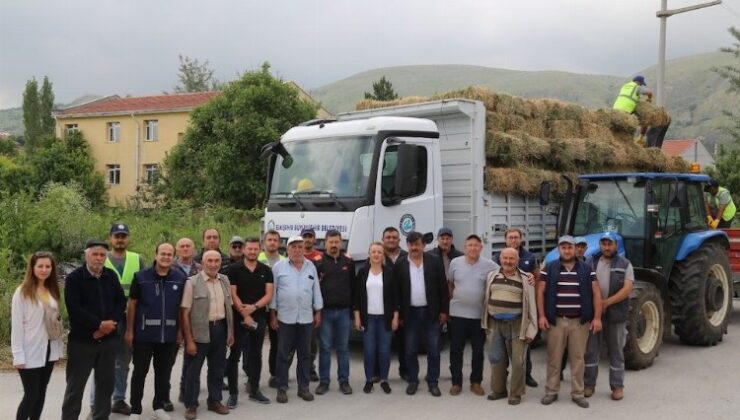 Hayvan üreticilerine balya dayanağı