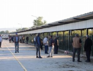 Bursa İnegöl Hayvan Pazarı yine hizmette