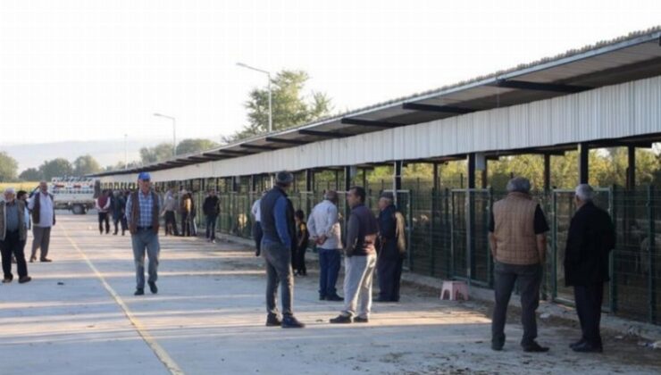 Bursa İnegöl Hayvan Pazarı yine hizmette