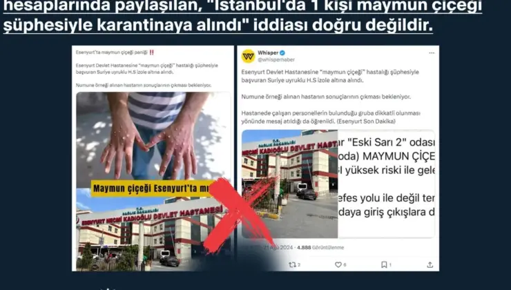 ‘Maymun Çiçeği’nin Türkiye tezleri dezenformasyondan ibaret