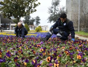 Trabzon’da 12 Bin Metrekarelik Alana 529 Bin 815 Çiçek Dikildi