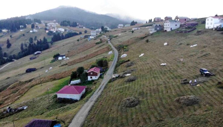 Trabzon’da yaylacılar kış mevsimi için hazırlık yapıyor