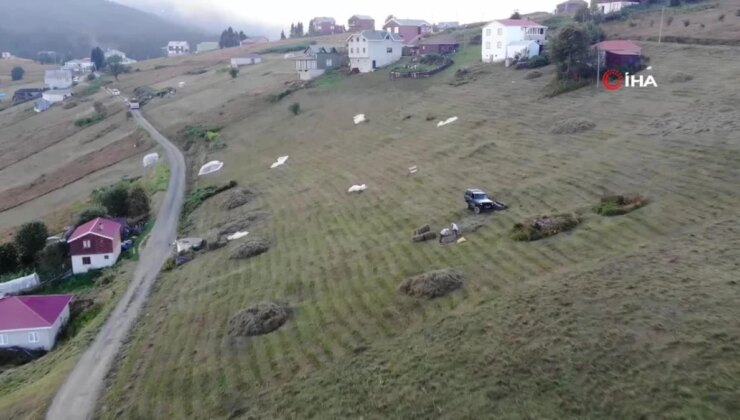Trabzon’da yaylacıların çayır biçme telaşı