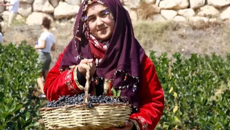 Kilosu 300 liraya satılıyor! Üreticinin yüzü gülüyor