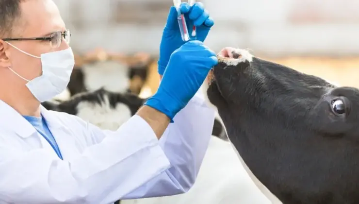 Tarım-GFE’de en yüksek değişim veteriner harcamalarında