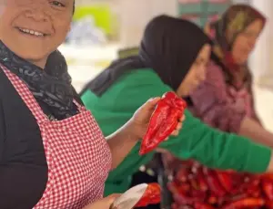 Bayan kooperatiflerinde e-ticaret gayesi iki kat