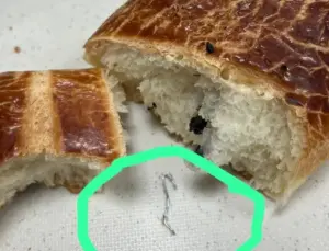 Düzce’de yemek firması insan sıhhatini hiçe saydı!