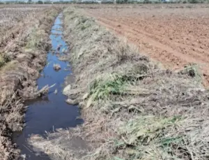 Manisa’da tarım yerleri muhafaza altında