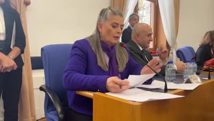 Sibel Suiçmez’den bütçe eleştirisi: ‘Yoksulluk ve tecavüzle sanal aksiyon planlarıyla başa çıkamazsınız’