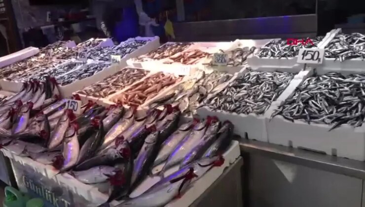 Trabzon’da Hamsi Dönemi Başladı: Fiyatlar Uygun
