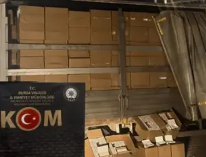 Bursa’da 3 milyon kaçak makaron ele geçirildi