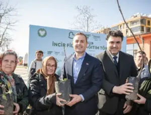 Üreticilere incir fidanı takviyesi