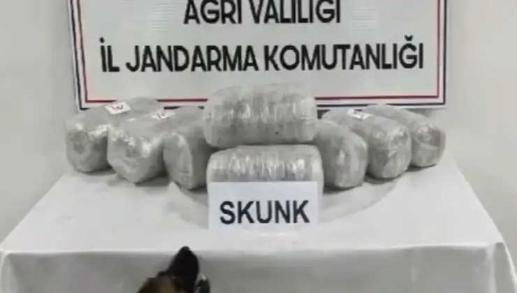 Ağrı’da 10 kilogram skunk ele geçirildi