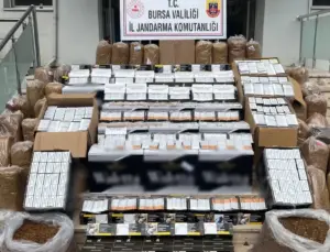 Bursa Gemlik’te kaçak tütün operasyonu