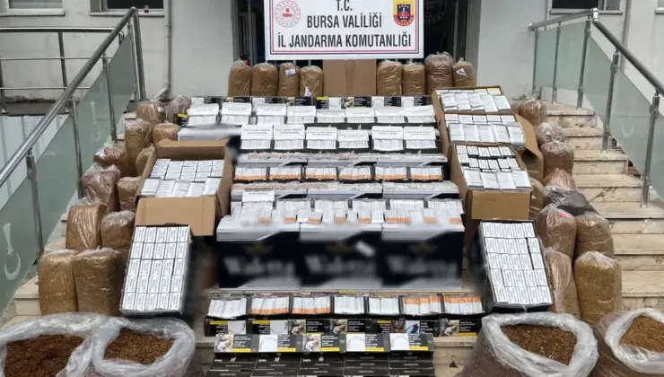 Bursa Gemlik’te kaçak tütün operasyonu