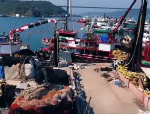 Hamside rekor dönem… 245 bin ton avcılıkla bereketli kapanış