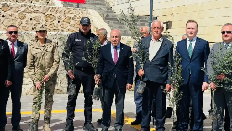 Mardin Yeşilli’de tarihi rekor! 102 bin meyveli fidan dağıtıldı