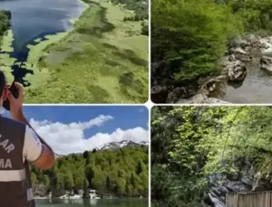 Tabiat Müdafaa ve Ulusal Parklar Uzmanlığı için ‘tez’ zaruriliği