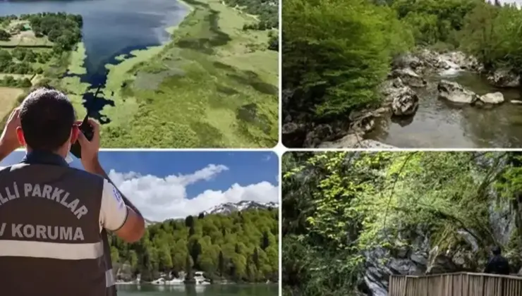 Tabiat Müdafaa ve Ulusal Parklar Uzmanlığı için ‘tez’ zaruriliği