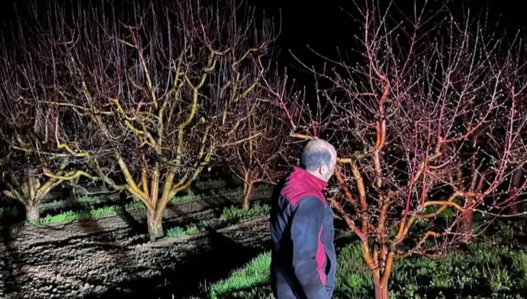 Zirai don alarmı! Takımlar alanda