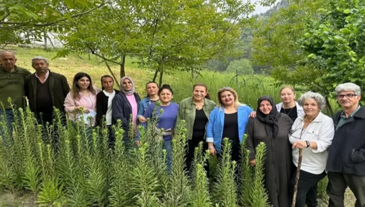 Ak Zambaklar gelişiyor, bayanlar güçleniyor