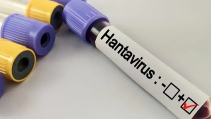 Hantavirüs salgına dönüşür mü? Kapalı alan paklığında büyük risk