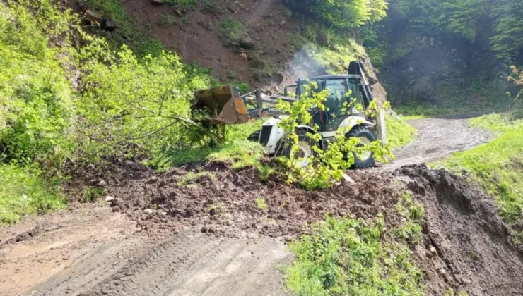 Ordu’da kuvvetli yağış sonrası 120 heyelan