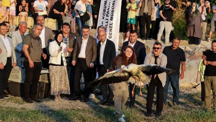 Bursa’da tabiatla iç içe bir şenlik… Leylek Şenliği’ne coşkulu start