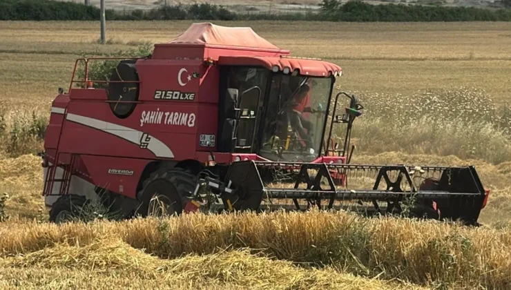 Edirne Keşan’da birinci arpa hasadı… Çiftçi fiyattan sıkıntılı