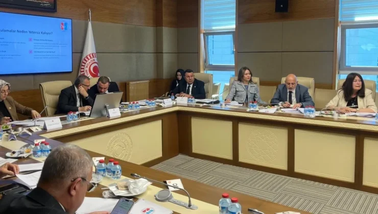TBMM Komitesi çocukların dijital riskleri ve eğitim siyasetlerini masaya yatırdı