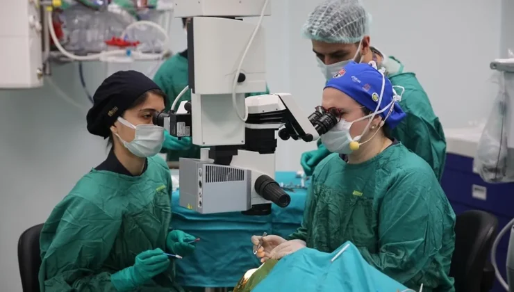 Türk göz doktorları 4 günde 70 canlı göz ameliyatı yapacak