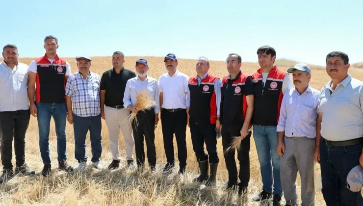 Kayseri Kocasinan’da tarım buluşması hasatla açıldı